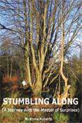 Sample book cover: Stumbling Along by Eiona Roberts
