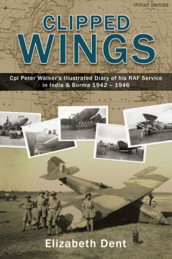 Clipped Wings book cover